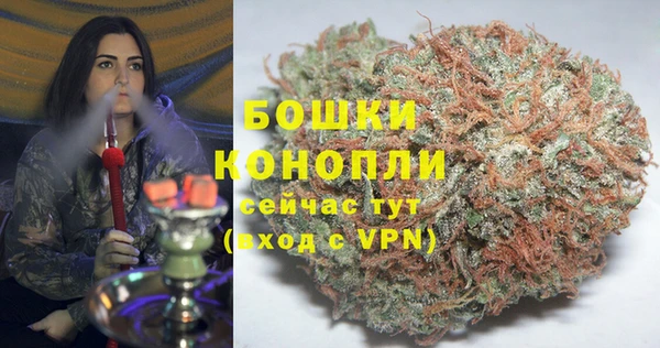 дурь Алзамай