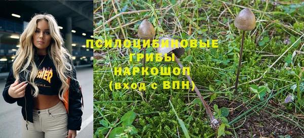 PSILOCYBIN Алексеевка